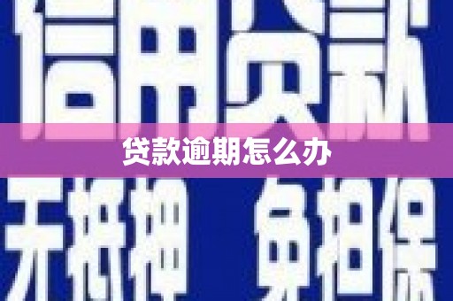 广水贷款逾期怎么办
