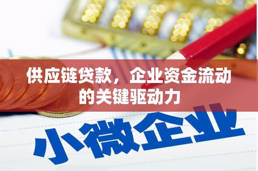 广水供应链贷款，企业资金流动的关键驱动力