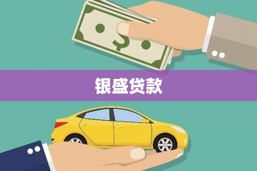 广水银盛贷款