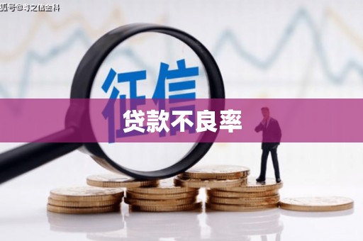 广水贷款不良率