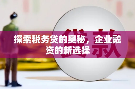 广水探索税务贷的奥秘，企业融资的新选择