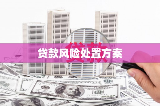 广水贷款风险处置方案