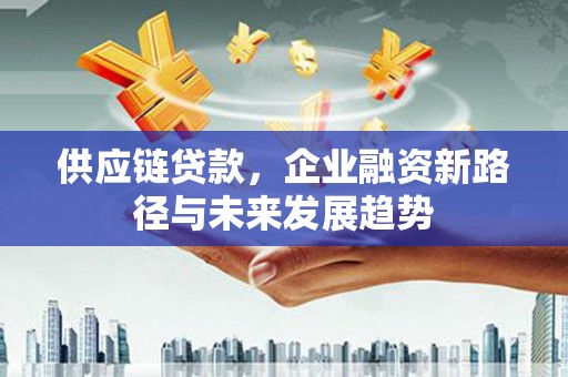 广水供应链贷款，企业融资新路径与未来发展趋势
