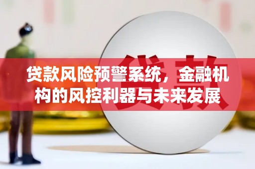 广水贷款风险预警系统，金融机构的风控利器与未来发展