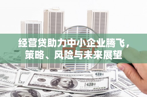 广水经营贷助力中小企业腾飞，策略、风险与未来展望