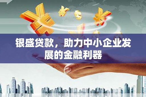 广水银盛贷款，助力中小企业发展的金融利器