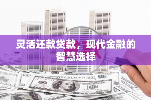 广水灵活还款贷款，现代金融的智慧选择