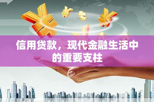 广水信用贷款，现代金融生活中的重要支柱