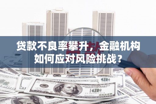 广水贷款不良率攀升，金融机构如何应对风险挑战？