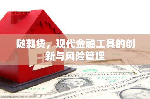 广水随薪贷，现代金融工具的创新与风险管理