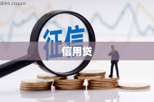 广水信用贷
