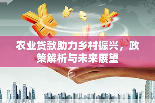 广水农业贷款助力乡村振兴，政策解析与未来展望