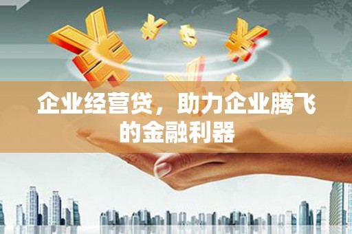 广水企业经营贷，助力企业腾飞的金融利器