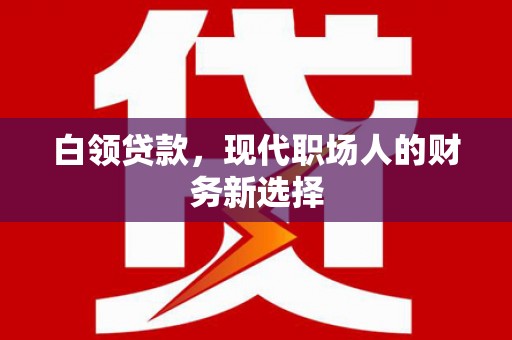 广水白领贷款，现代职场人的财务新选择