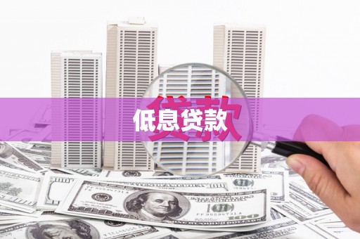 广水低息贷款