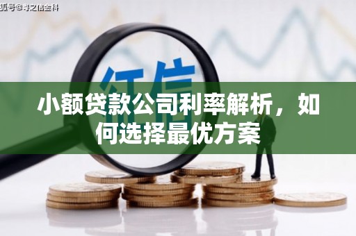广水小额贷款公司利率解析，如何选择最优方案
