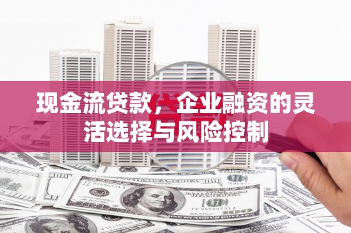 广水现金流贷款，企业融资的灵活选择与风险控制