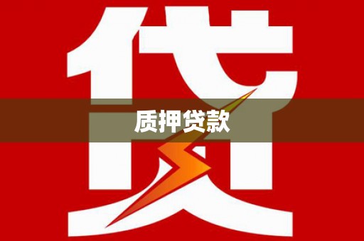 广水质押贷款