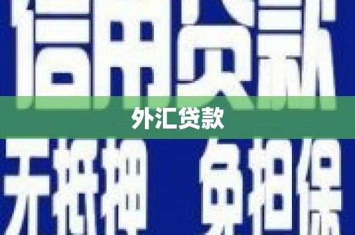 广水外汇贷款