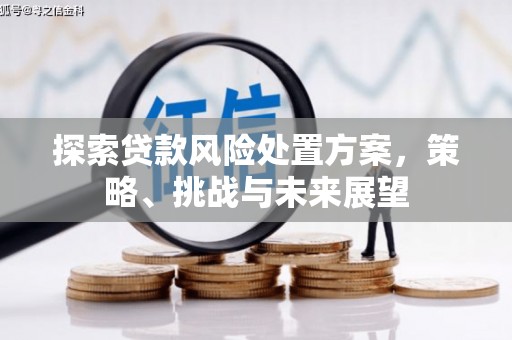 广水探索贷款风险处置方案，策略、挑战与未来展望
