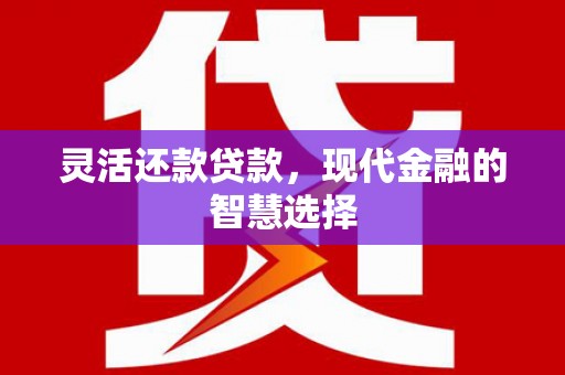 广水灵活还款贷款，现代金融的智慧选择