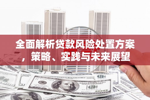 广水全面解析贷款风险处置方案，策略、实践与未来展望