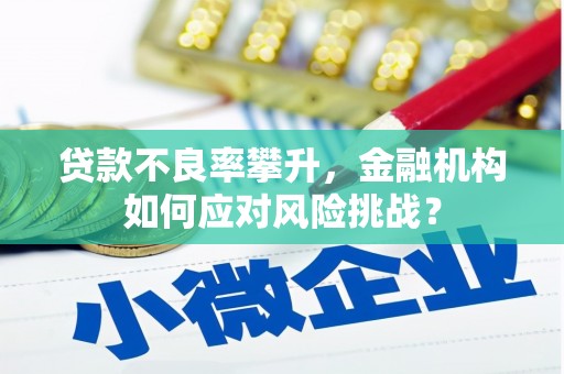 广水贷款不良率攀升，金融机构如何应对风险挑战？