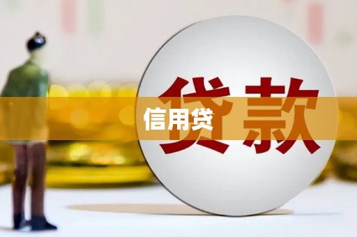 广水信用贷