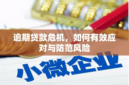 广水逾期贷款危机，如何有效应对与防范风险