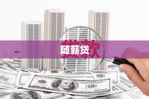 广水随薪贷