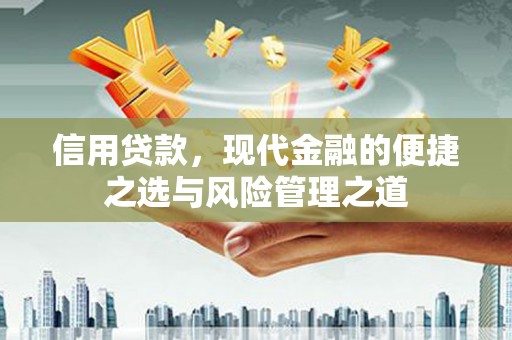 广水信用贷款，现代金融的便捷之选与风险管理之道