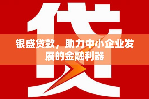 广水银盛贷款，助力中小企业发展的金融利器