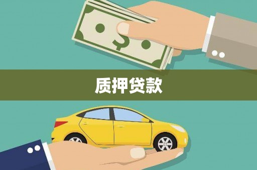 广水质押贷款