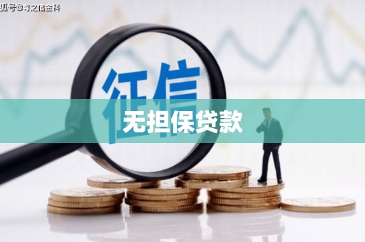 广水无担保贷款