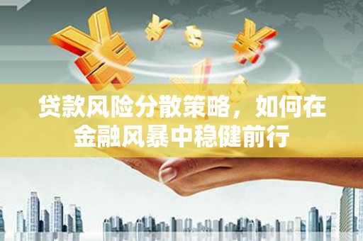 广水贷款风险分散策略，如何在金融风暴中稳健前行