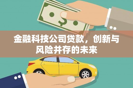 广水金融科技公司贷款，创新与风险并存的未来