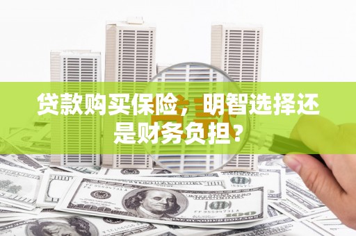 广水贷款购买保险，明智选择还是财务负担？