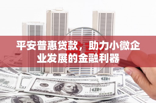 广水平安普惠贷款，助力小微企业发展的金融利器