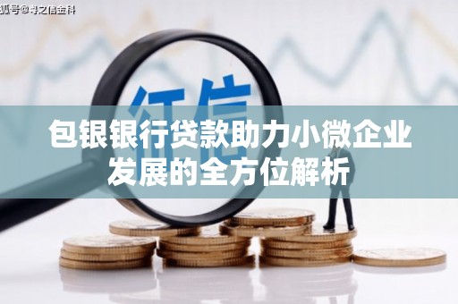 广水包银银行贷款助力小微企业发展的全方位解析 广水包银银行贷款助力小微企业发展的全方位解析