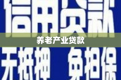 广水养老产业贷款