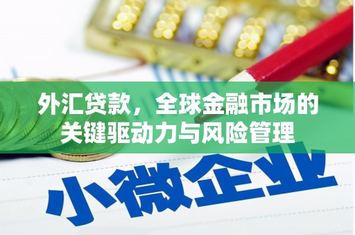 广水外汇贷款，全球金融市场的关键驱动力与风险管理