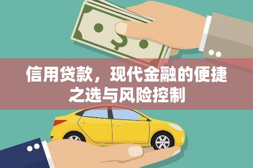 广水信用贷款，现代金融的便捷之选与风险控制