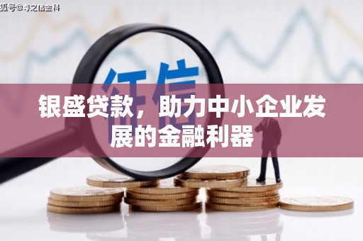 广水银盛贷款，助力中小企业发展的金融利器