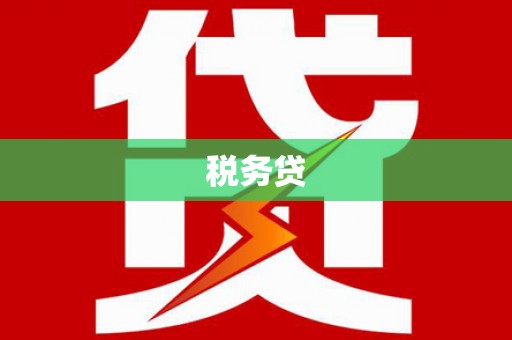 广水税务贷