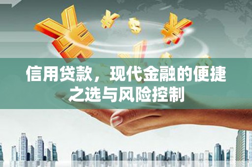 广水信用贷款，现代金融的便捷之选与风险控制