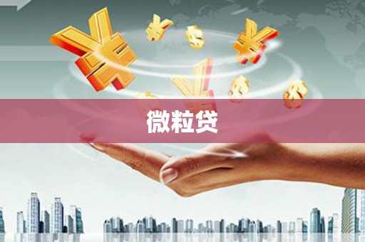 广水微粒贷