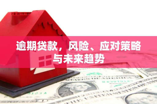 广水逾期贷款，风险、应对策略与未来趋势