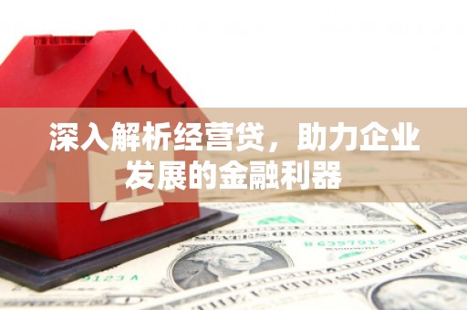 广水深入解析经营贷，助力企业发展的金融利器