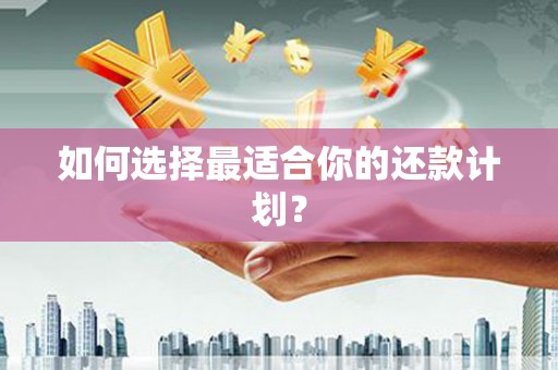 广水如何选择最适合你的还款计划？