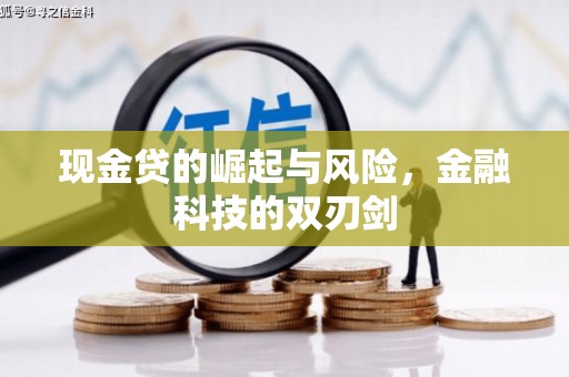 广水现金贷的崛起与风险，金融科技的双刃剑